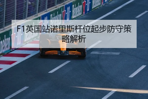 ying-guo-zhan-nuo-li-si-gan-wei-qi-bu-fang-shou-ce-lve-jie-xi-2-366.jpg